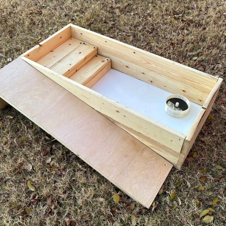 Armadillo Zoo Enrichment Box